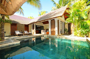 Oasis 7